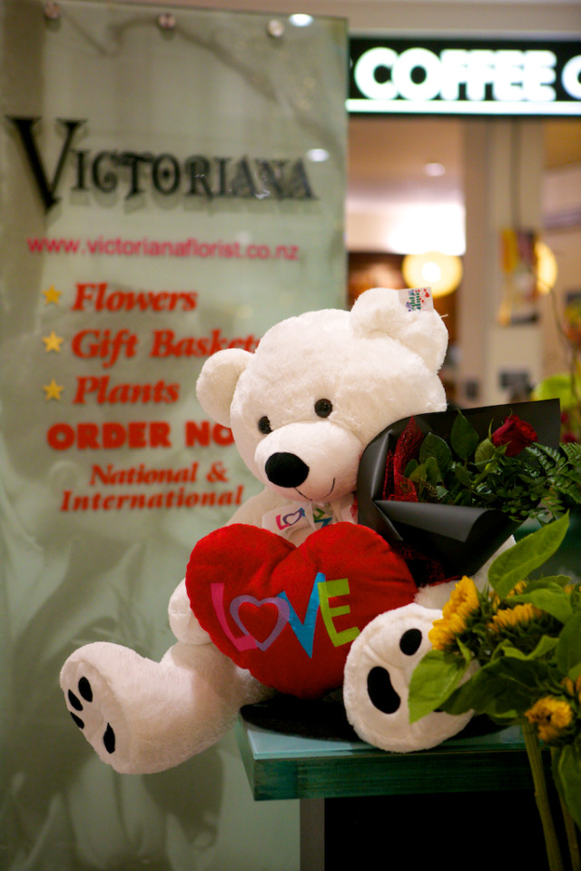 Red Rose for Valentines Day